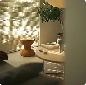 الإكسسوارات
